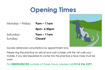Vet sales sunday hours