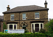 Emergency vets sales sheffield